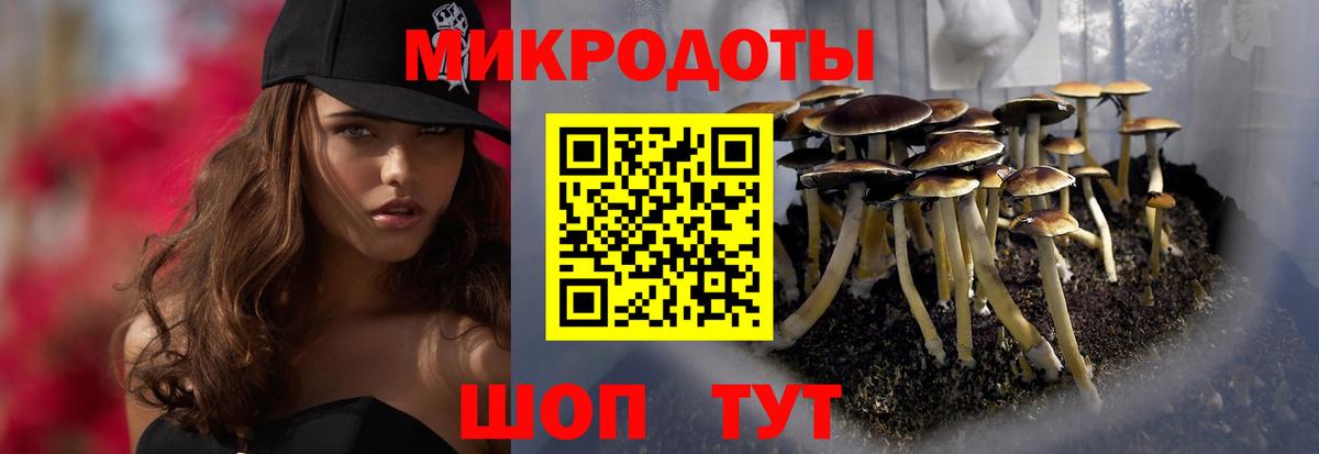 Грязи  Галлюциногенные грибы Magic Shrooms  Вход с VPN 